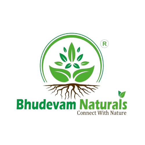 Logo Bhudevam Naturals